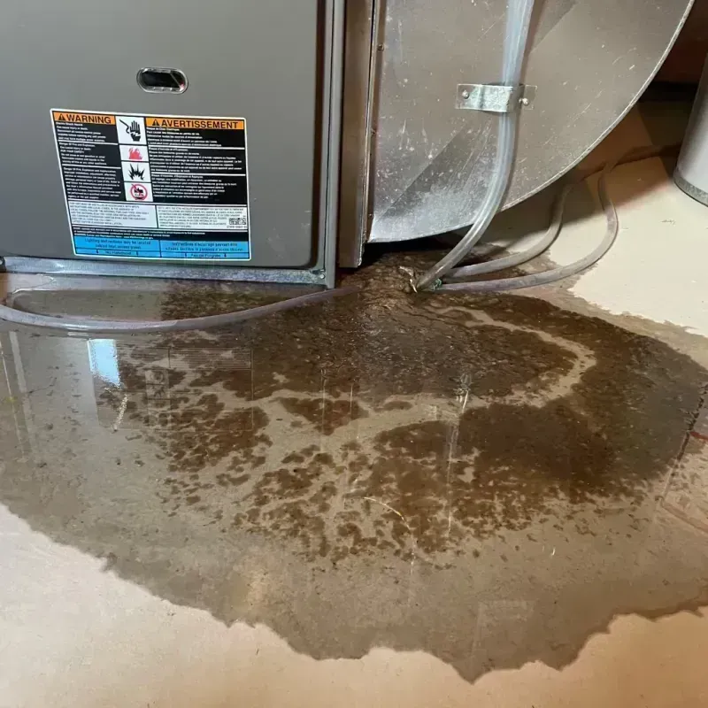 Appliance Leak Cleanup in Riverview, MO